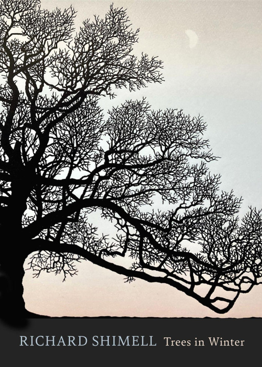 Kniha Trees in Winter Richard Shimell