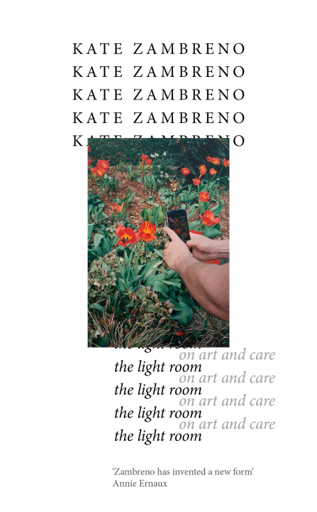 Book Light Room Kate Zambreno