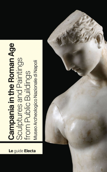 Carte Campania in the Roman Age. Sculptures and Paintings from Public Buildings. Museo Archeologico Nazionale di Napoli 
