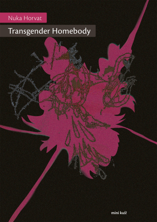 Livro Transgender Homebody Horvat