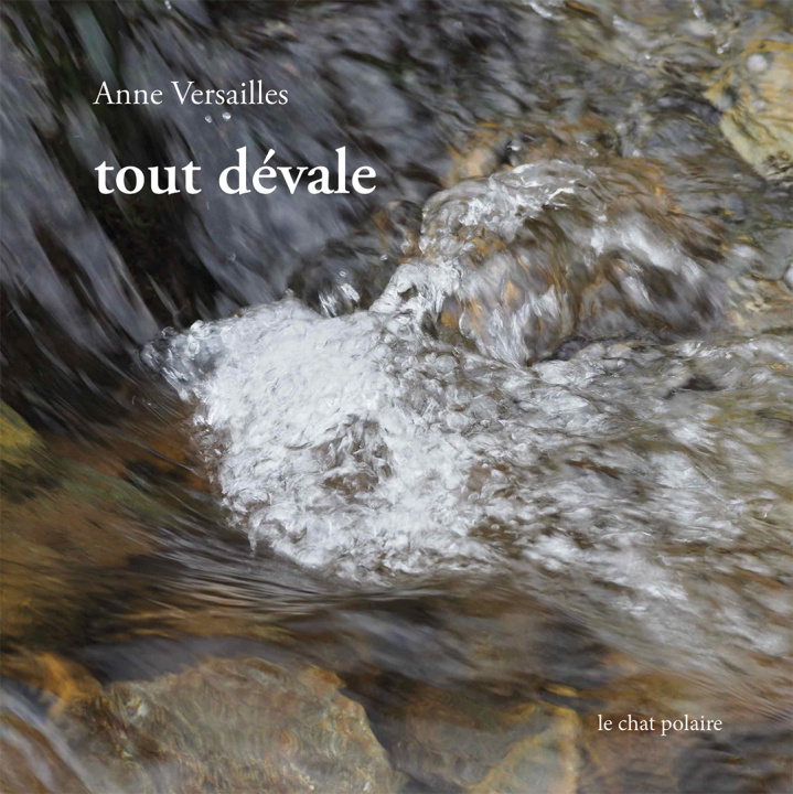 Kniha tout dévale Versailles