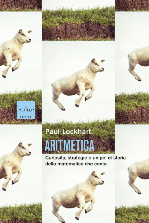 Kniha Aritmetica. Curiosità, strategie e un po' di storia della matematica che conta Paul Lockhart