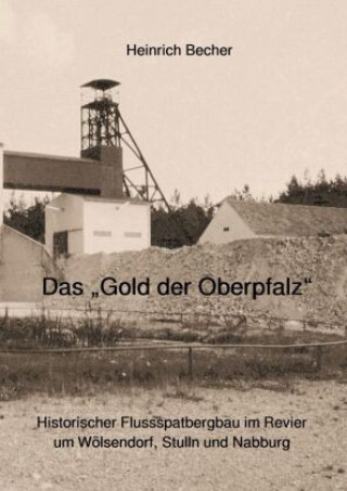 Book Das Gold der Oberpfalz Heinrich Becher