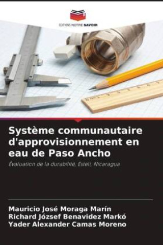 Книга Système communautaire d'approvisionnement en eau de Paso Ancho Mauricio José Moraga Marín