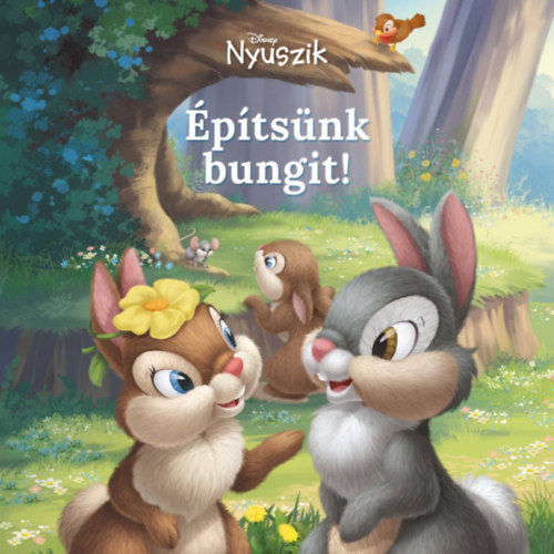 Kniha Disney Nyuszik - Építsünk bungit! Alli Brydon