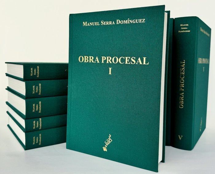Kniha OBRA PROCESAL SERRA DOMINGUEZ