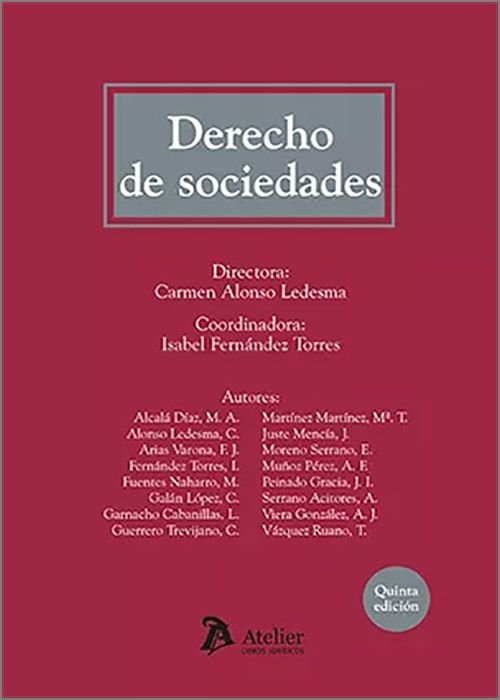 Kniha DERECHO DE SOCIEDADES 5ª EDICION CARMEN ALONSO LEDESMA