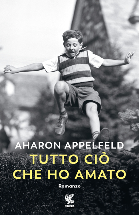 Könyv Tutto ciò che ho amato Aharon Appelfeld