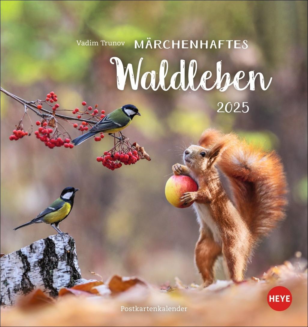 Kalendár/Diár Vadim Trunov: Märchenhaftes Waldleben Postkartenkalender 2025 Vadim Trunov