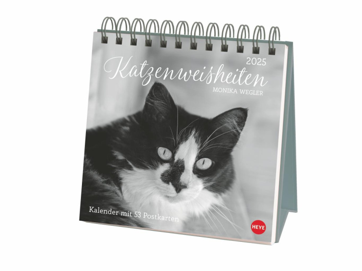 Calendar / Agendă Monika Wegler: Katzen Weisheiten Premium-Postkartenkalender 2025 Monika Wegler