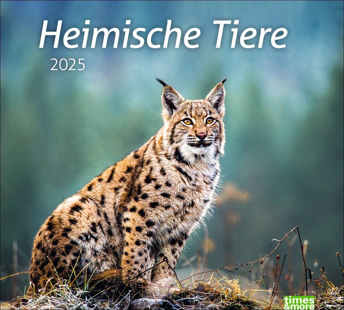 Kalendář/Diář Heimische Tiere Bildkalender 2025 