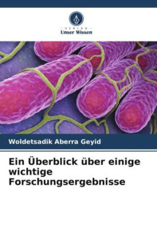 Livro Ein Überblick über einige wichtige Forschungsergebnisse Woldetsadik Aberra Geyid