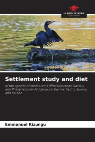 Knjiga Settlement study and diet Emmanuel Kizungu
