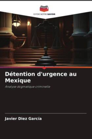 Knjiga Détention d'urgence au Mexique Javier Díez García