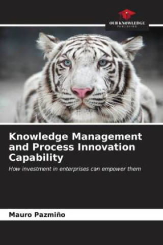 Knjiga Knowledge Management and Process Innovation Capability Mauro Pazmiño