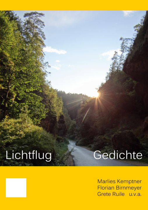 Boek Lichtflug Marlies Kemptner