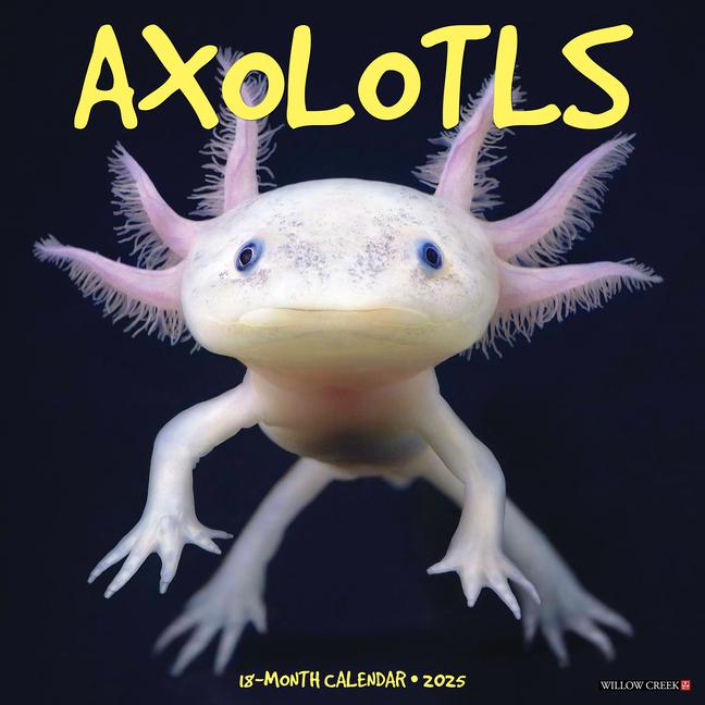 Kalender/Terminbuch CAL 25 AXOLOTLS 2025 WALL WALL