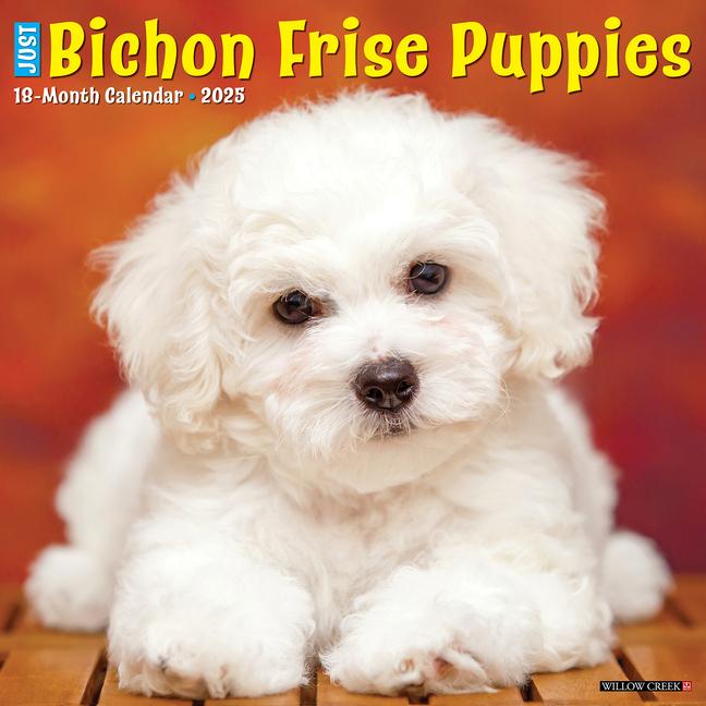 Kalendár/Diár CAL 25 BICHON FRISE PUPPIES 2025 WALL