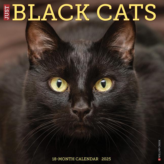 Calendar / Agendă CAL 25 BLACK CATS 2025 WALL WALL