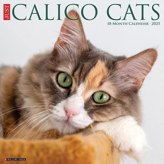 Календар/тефтер CAL 25 CALICO CATS 2025 WALL WALL