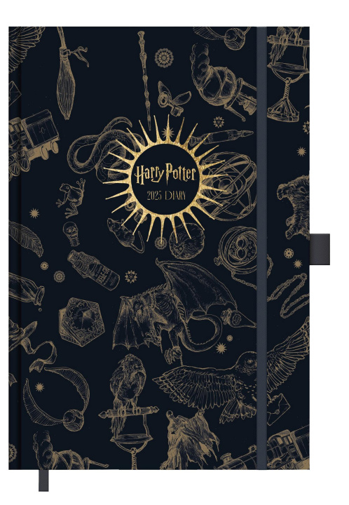 Kalendář/Diář Harry Potter Taschenkalender 2025 14,5 x 21,5 cm 