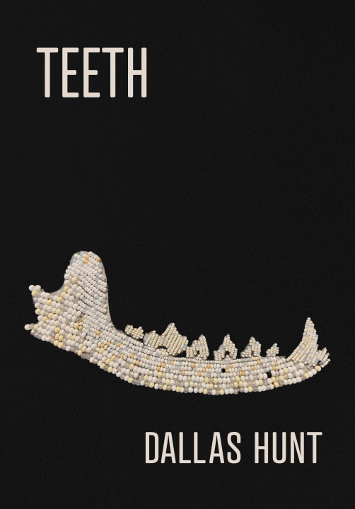 Knjiga Teeth 