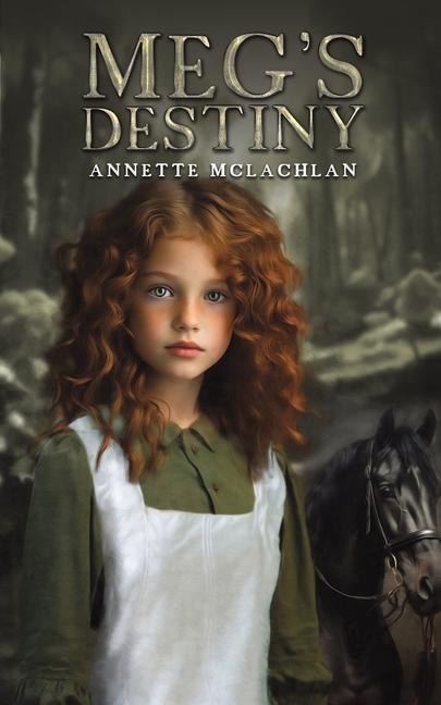 Knjiga Meg's Destiny Annette McLachlan