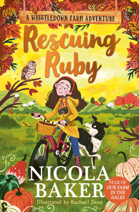 Knjiga Rescuing Ruby Nicola Baker