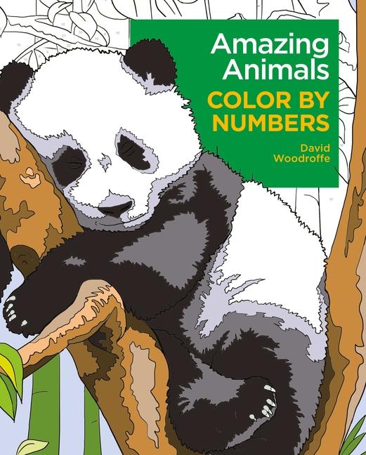 Livre Amazing Animals Color by Numbers 