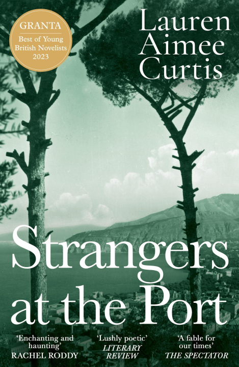 Book Strangers at the Port Lauren Aimee Curtis