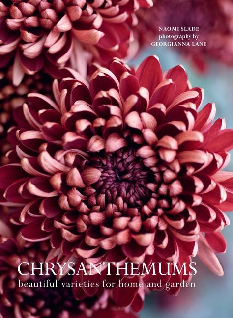 Kniha Chrysanthemums Georgianna Lane