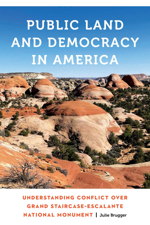 Βιβλίο Public Land and Democracy in America 