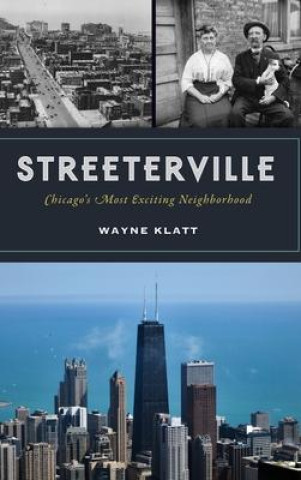 Knjiga Streeterville Wayne Klatt