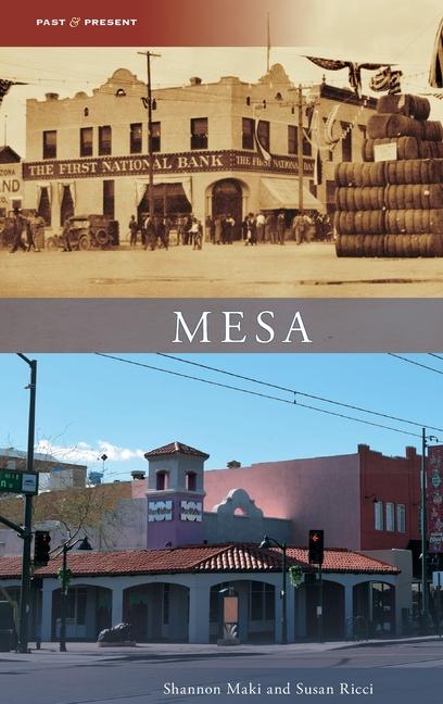 Knjiga Mesa Shannon Maki