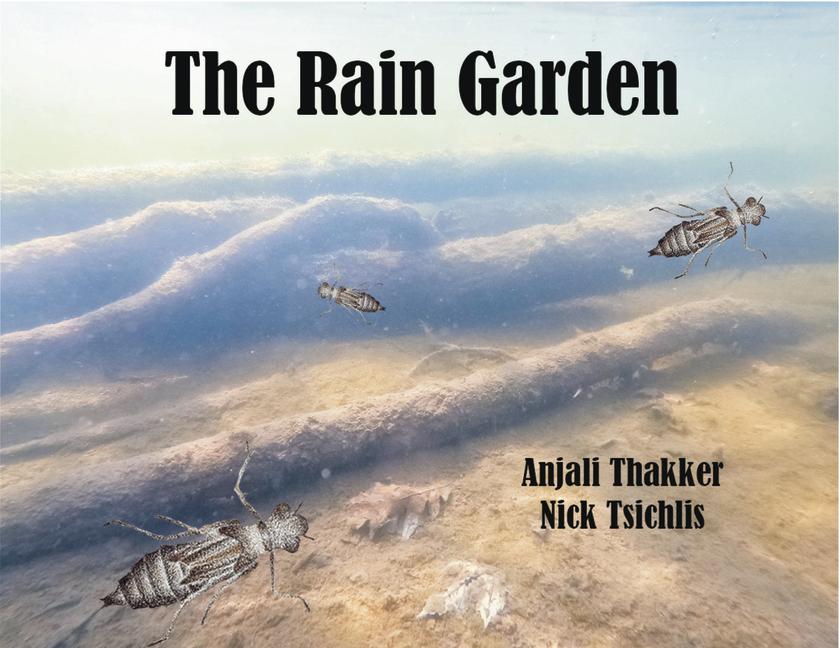 Buch The Rain Garden Nick Tsichlis