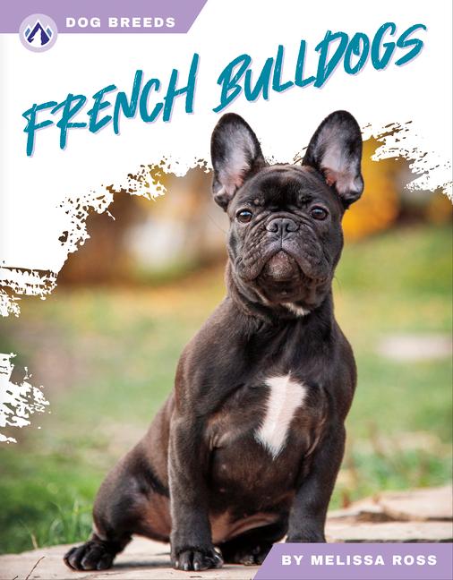 Kniha French Bulldogs 