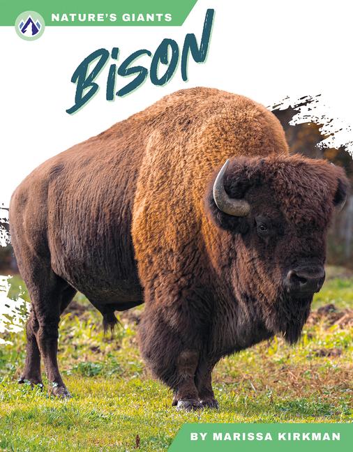 Knjiga Bison Marissa Kirkman