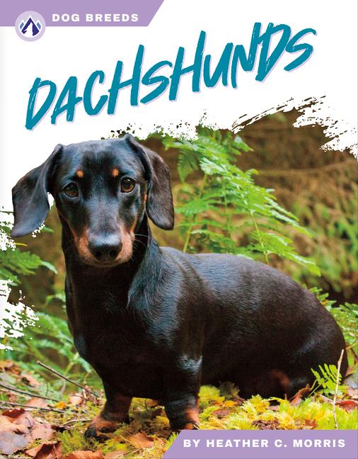 Kniha Dachshunds Heather C. Morris