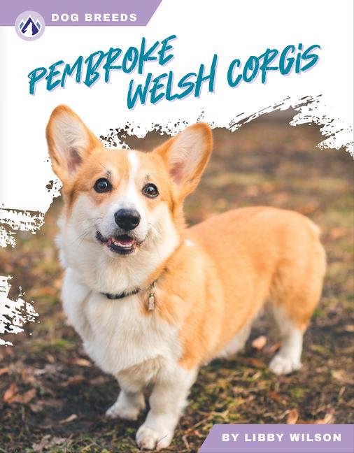 Carte Pembroke Welsh Corgis 
