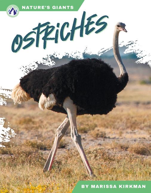 Książka Ostriches 