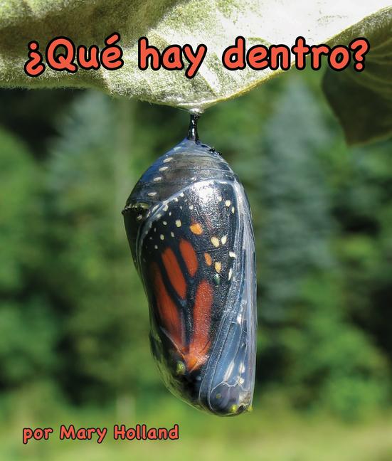 Boek ?Qué Hay Dentro? Alejandra de la Torre