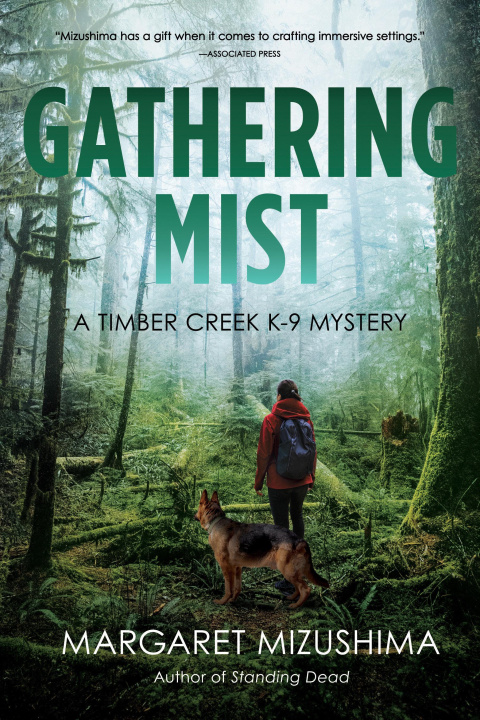 Book Gathering Mist Mizushima