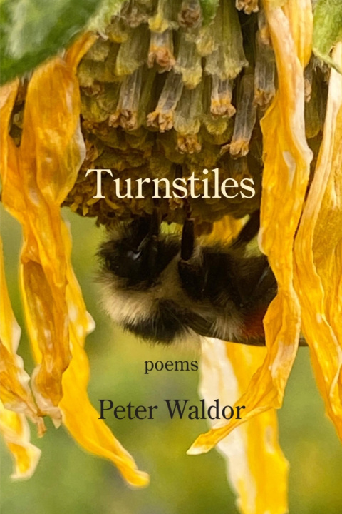Knjiga Turnstiles Peter Waldor