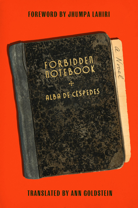 Buch Forbidden Notebook Ann Goldstein