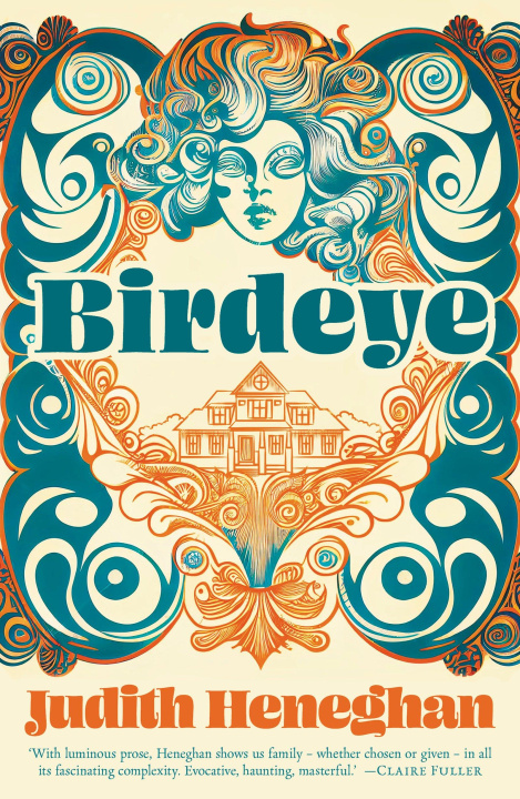 Knjiga Birdeye Judith Heneghan