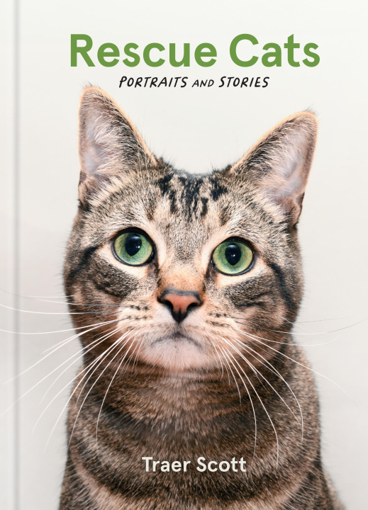 Carte Rescue Cats Scott
