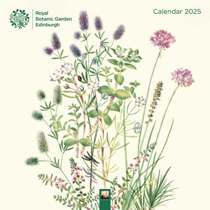 Naptár/Határidőnapló Royal Botanic Garden Edinburgh Wall Calendar 2025 (Art Calendar) 