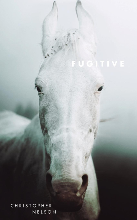 Knjiga Fugitive 
