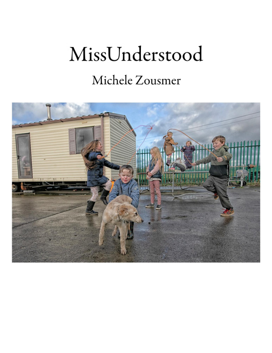 Βιβλίο Missunderstood Michele Zousmer