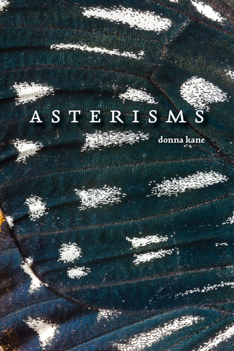 Knjiga Asterisms 